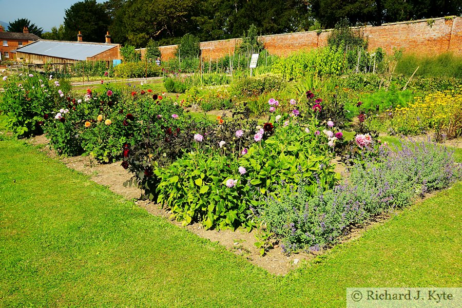 Flowerbed, The Walled Garden, Croome Park, Worcestershire