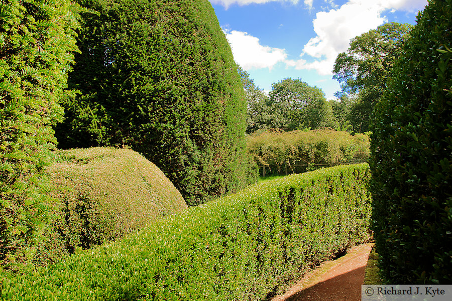 The Yew Garden, on the Mount, Packwood House, Warwickshire 