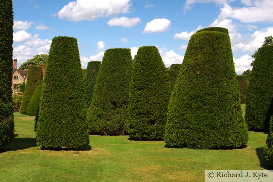 The Yew Garden, Packwood House, Warwickshire