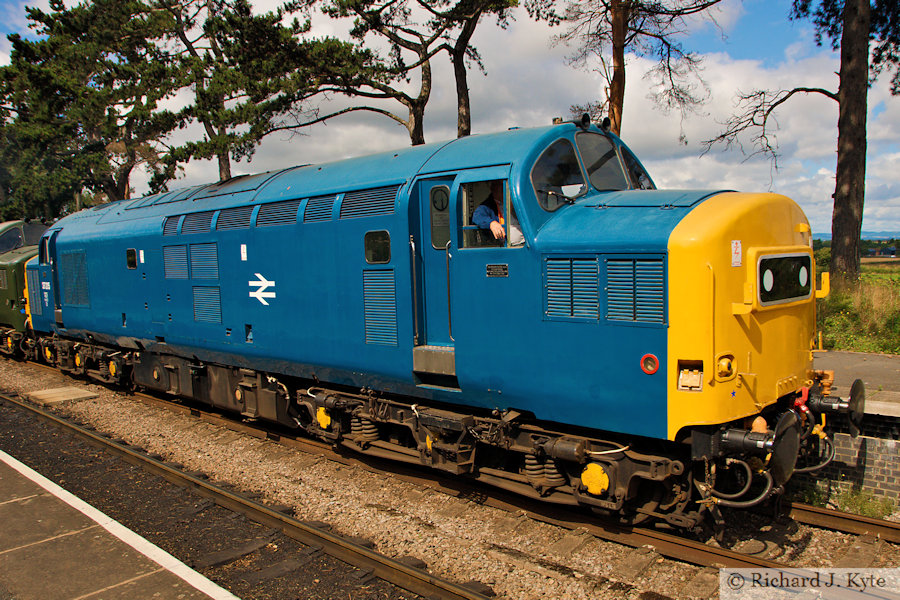 Class 37 Diesel no. 37215 at Cheltenham Racecourse, Gloucestershire Warwickshire Railway 