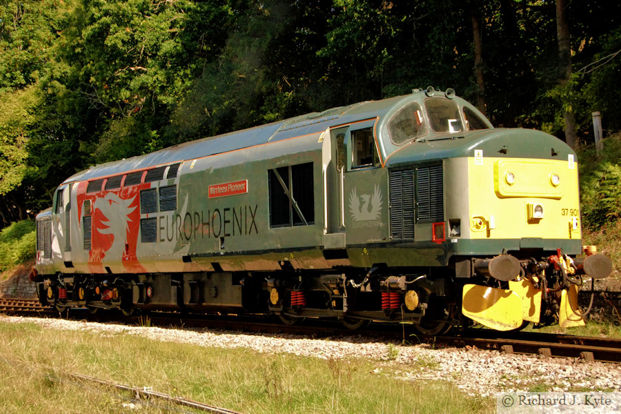 Rail Operations Group/Europhoenix class 37 Diesel no. 37901 "Mirrlees Pioneer" at Parkend, Dean Forest Railway Diesel Gala
