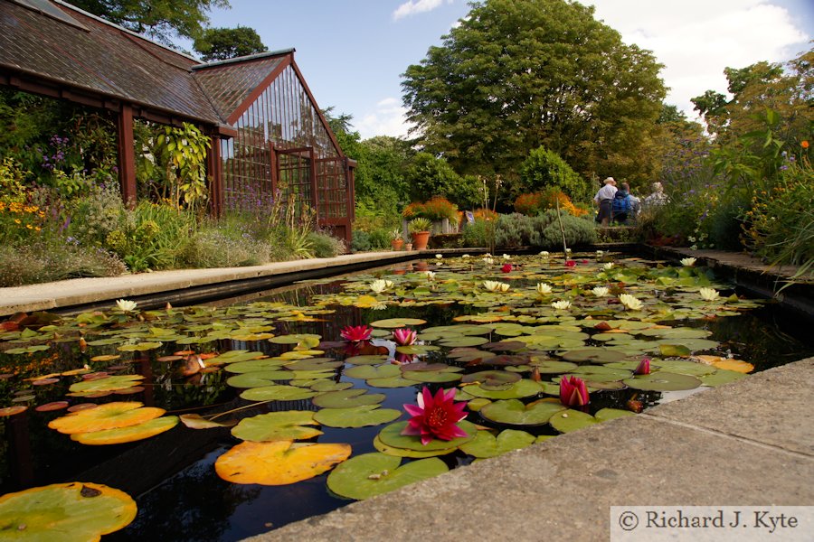 Lily Pond, Hidcote Manor Garden, Gloucestershire