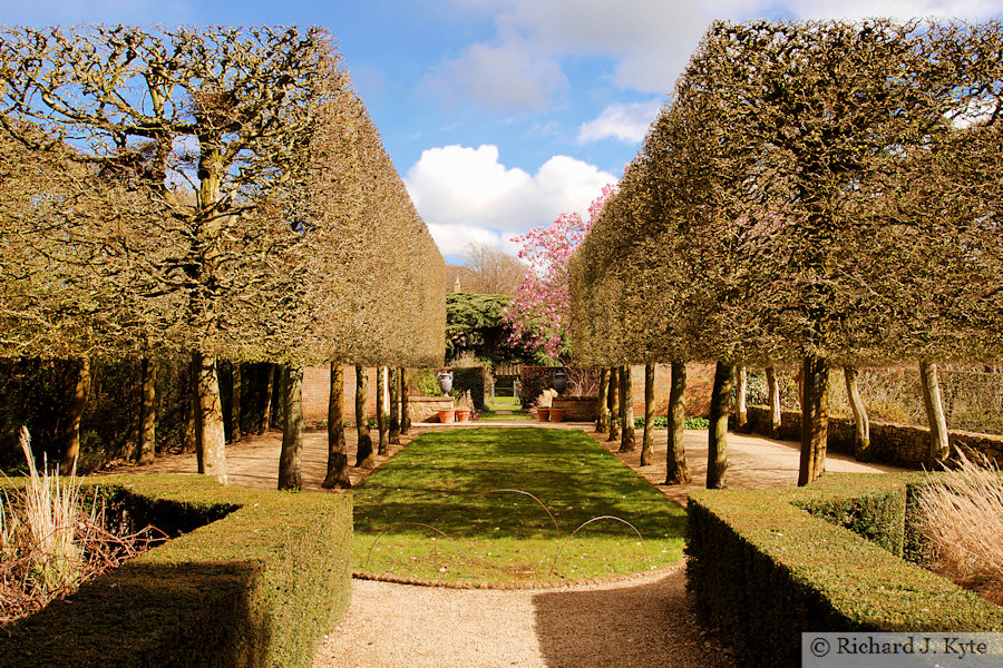 The Stilt Garden, Hidcote Manor Garden, Gloucestershire