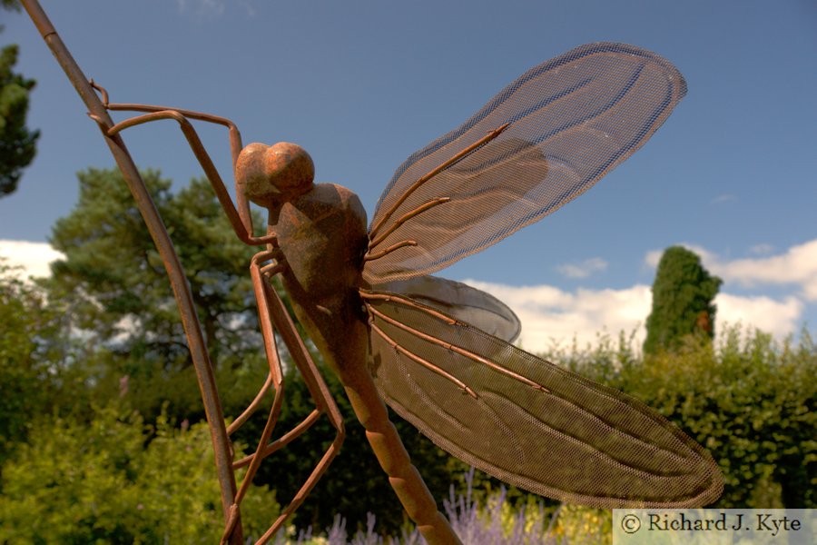 Dragonfly Sculpture, Upper Stream Garden, Hidcote Manor Garden, Gloucestershire