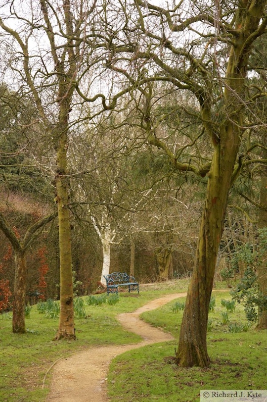 Path through The Wilderness, Hidcote Manor Garden, Gloucestershire