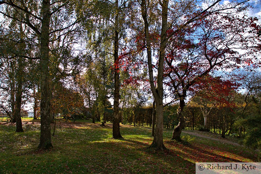 "The Wilderness", Hidcote Manor Garden, Gloucestershire