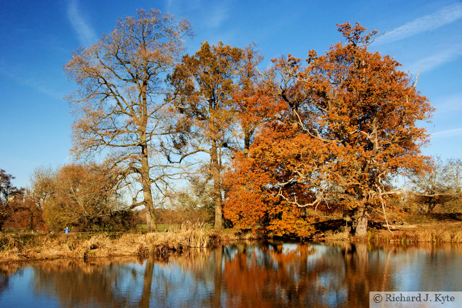 The Lake, Charlecote Park, Warwickshire