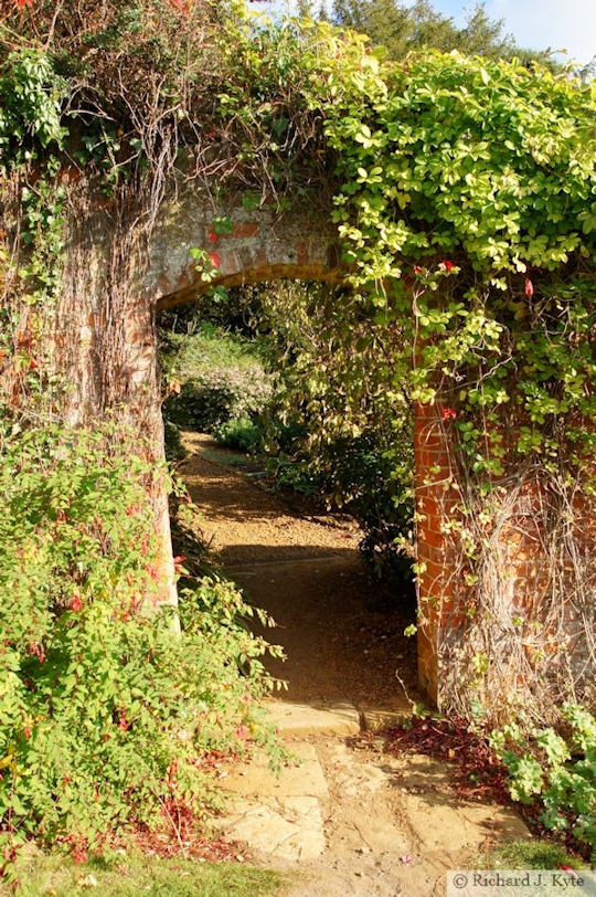 Archway, the Aster Border, Upton House, Warwickshire