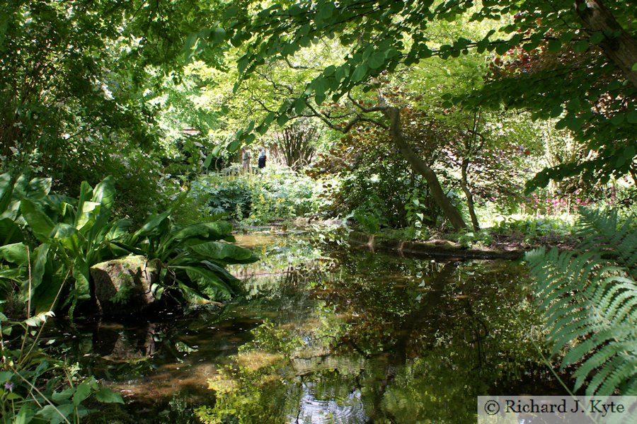 Deep in the Bog Garden, Upton House, Warwickshire