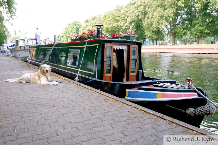 "Lamprey No. 941", Evesham River Festival 2011