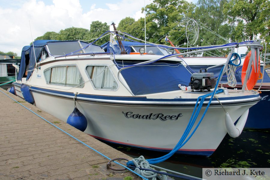 "Coral Reef", Evesham River Festival 2011