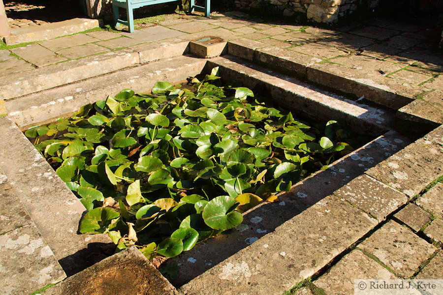 Lily Pool, Snowshill Manor, Gloucestershire