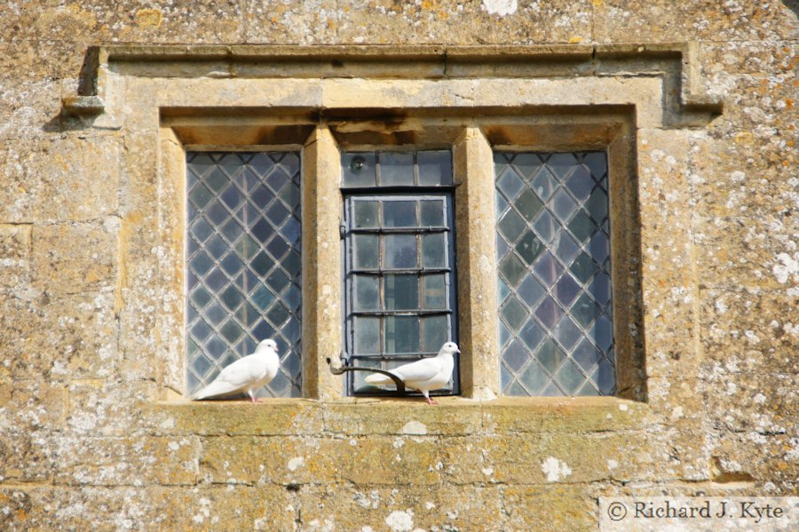 White Pigeons, Snowshill Manor, Gloucestershire