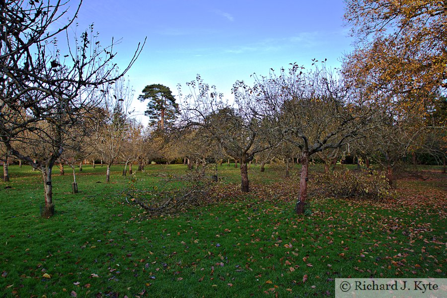 The Orchard, Hanbury Hall, Worcestershire