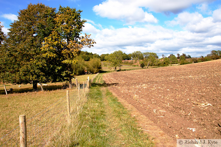 Battle Trail, Greenhill, Evesham, Worcestershire