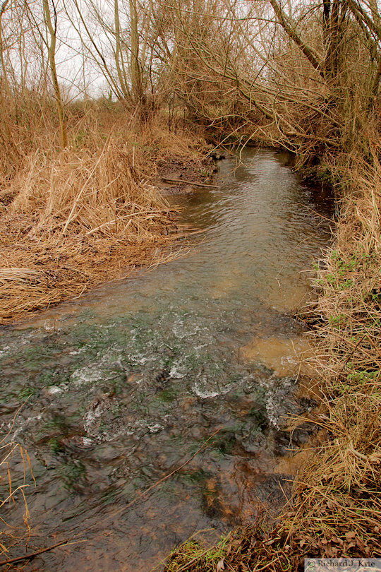 Carrant Brook, Worcestershire