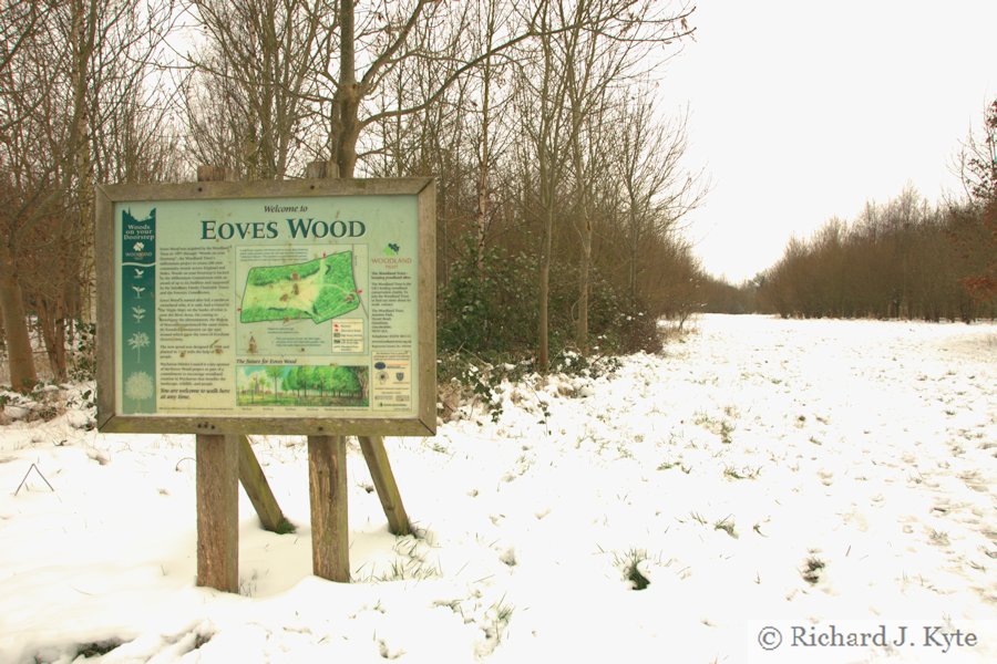 Eoves Wood, Hampton, Evesham, Worcestershire