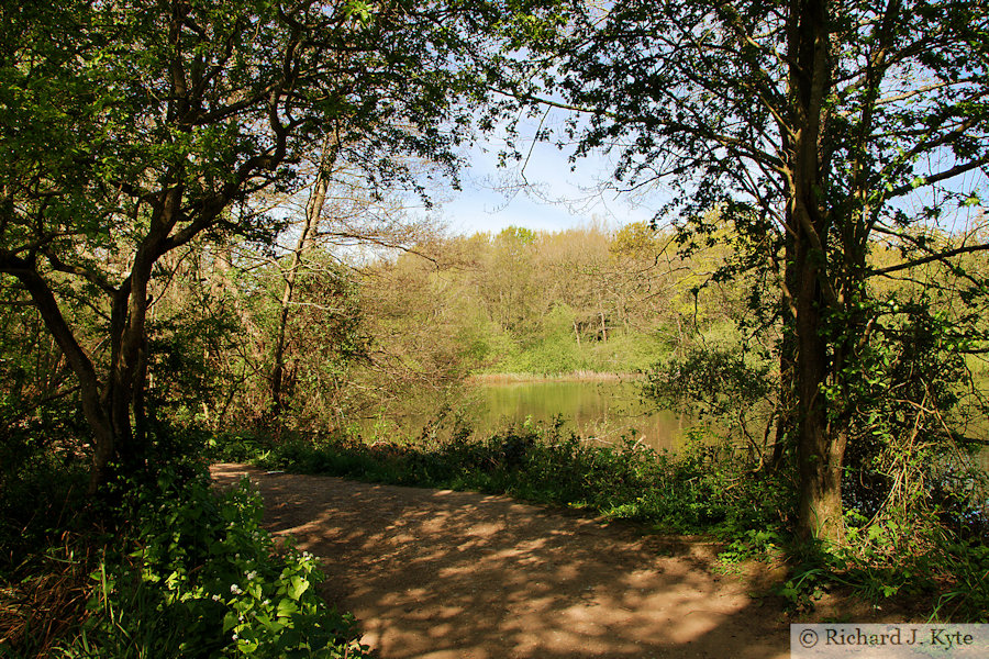 Pathway, Terry's Pool, Earlswood Lakes, Warwickshire
