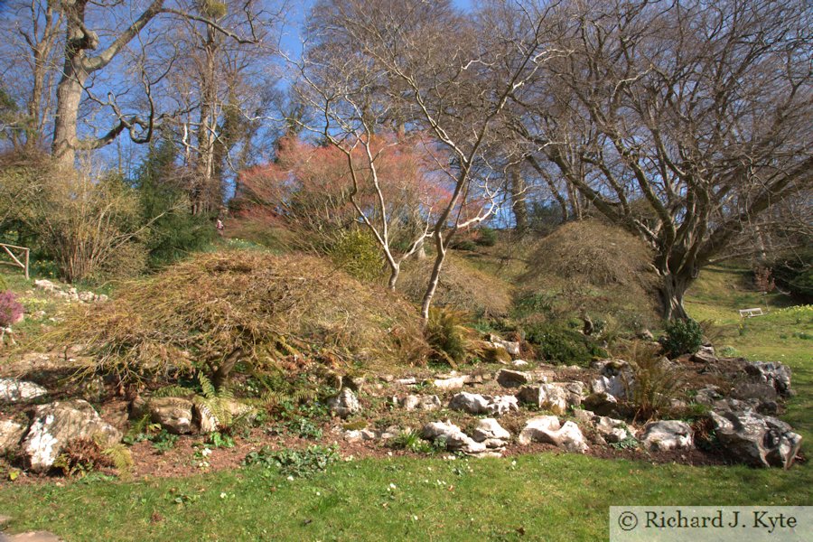 The Rockery, The Weir Garden, Herefordshire