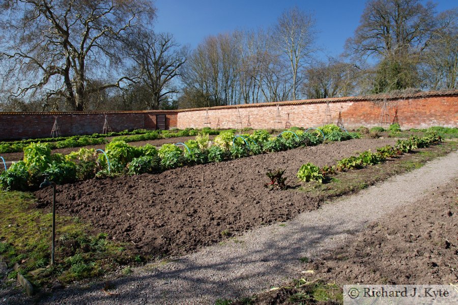Walled Garden, The Weir Garden, Herefordshire