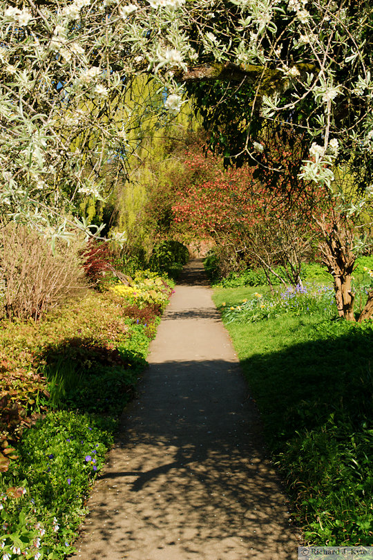 Pathway, The Walled Garden, Croft Castle, Herefordshire
