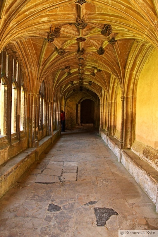 The South Cloister, Lacock Abbey, Wiltshire
