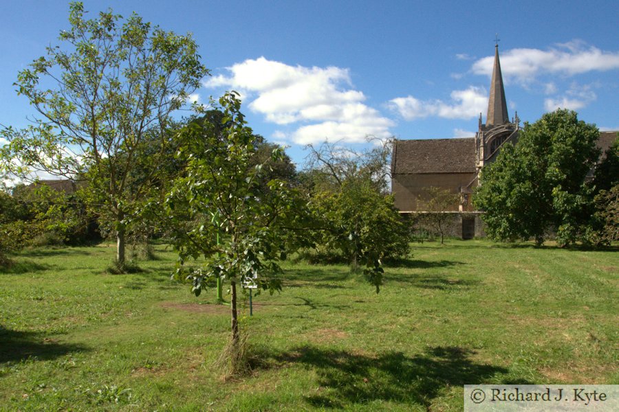 Orchard, Lacock Abbey, Wiltshire