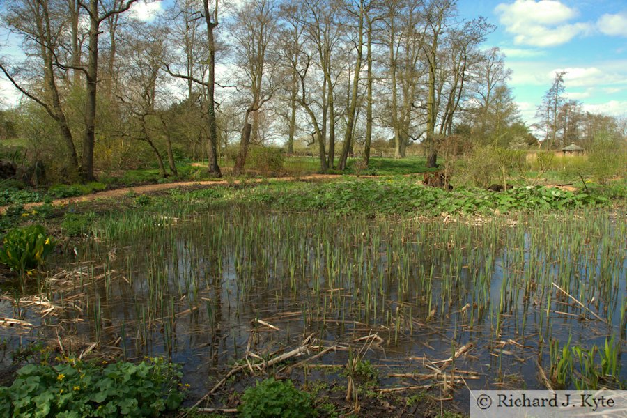 The Bog Garden, Coughton Court, Warwickshire