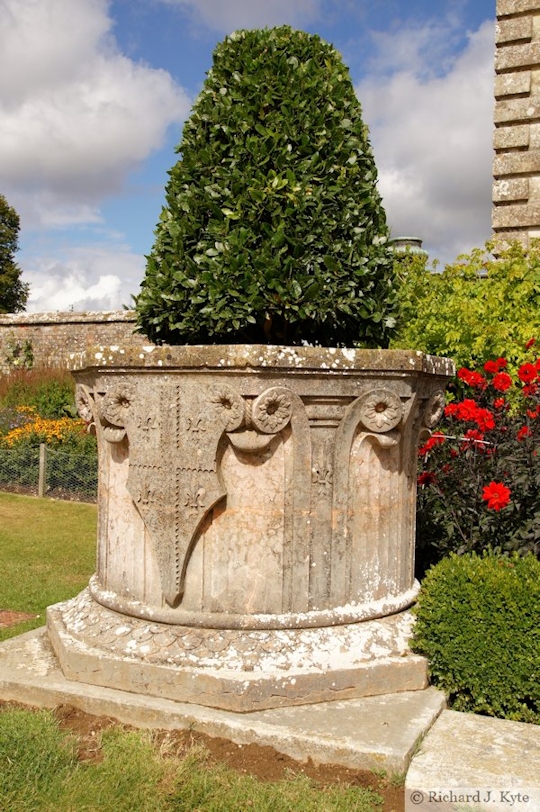 Potted Plant, Kingston Lacy House, Dorset