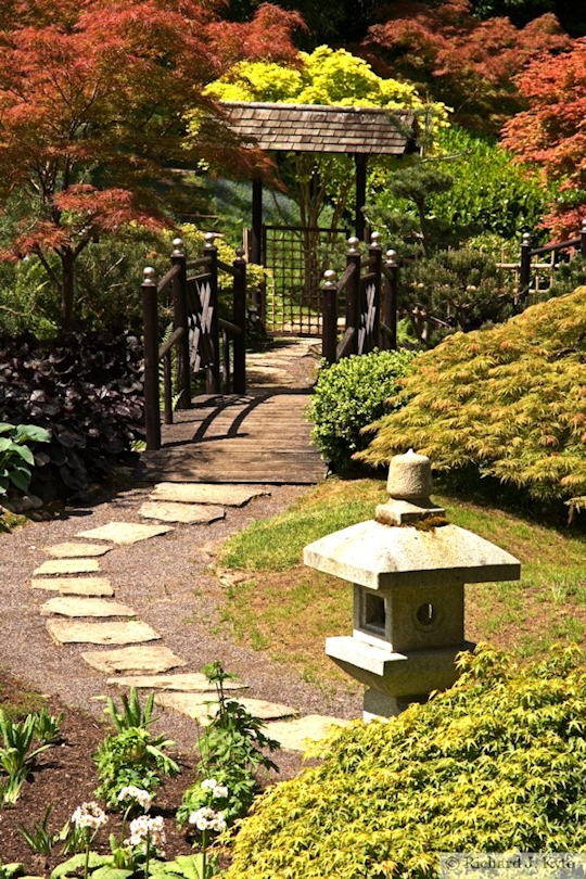 Japanese Garden, Kingston Lacy, Dorset