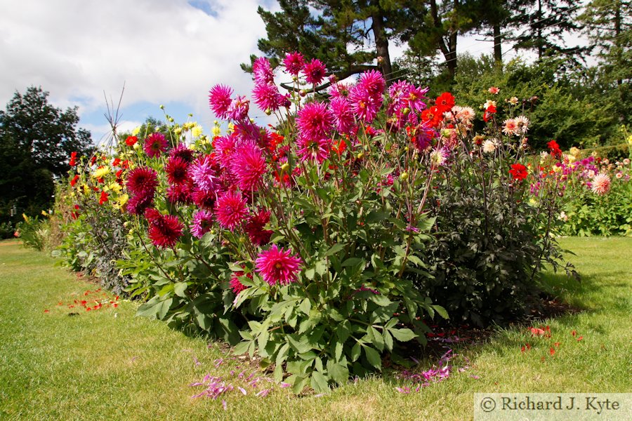 Flowerbed, Kitchen Garden, Kingston Lacy, Dorset