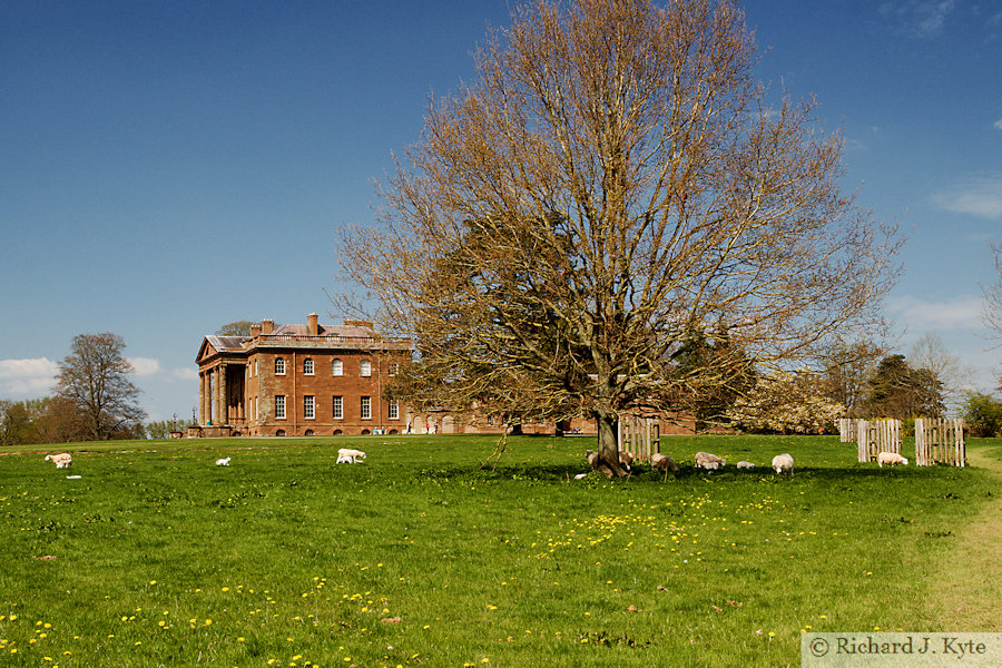 The Parkland, Berrington Hall, Herefordshire