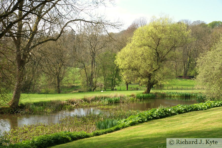 The Lake, Newark Park, Gloucestershire