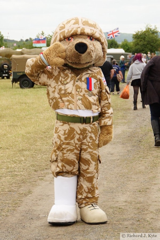 Hero the Help for Heroes Mascot, Wartime in the Vale 2015