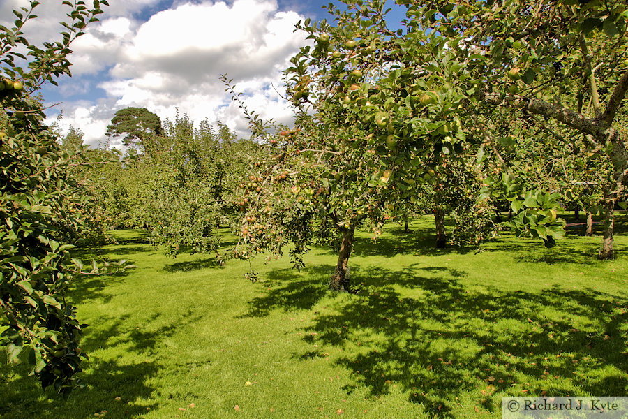 The Orchard, Hanbury Hall, Worcestershire