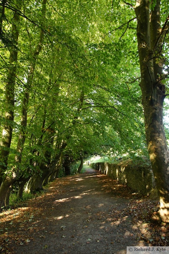 Path, The Lost Terraces, Dyrham Park, Gloucestershire