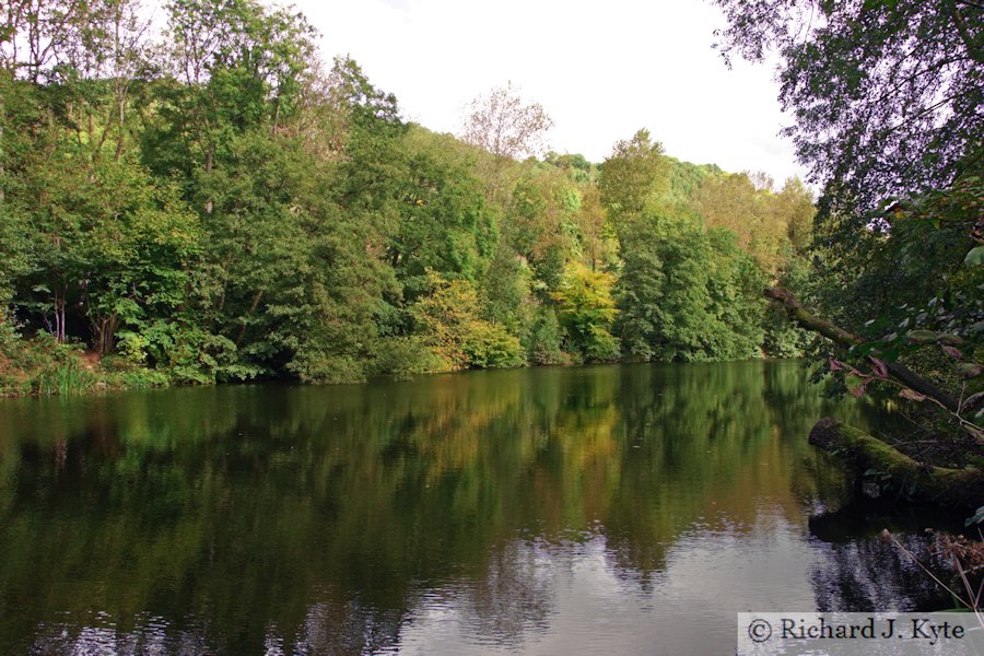 The Middle Pond, Woodchester Park, Gloucestershire