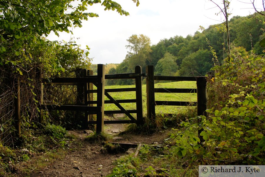 Gate, Woodchester Park, Gloucestershire