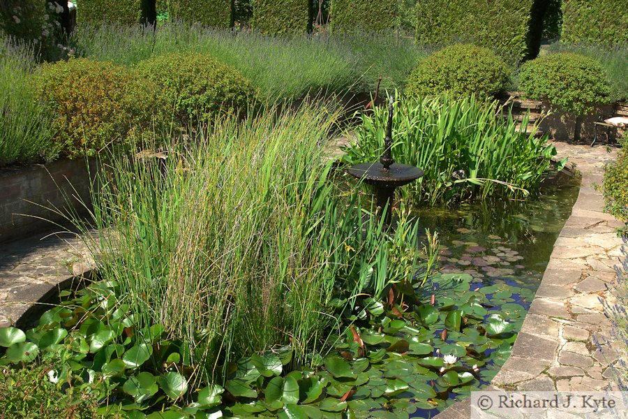 Pond, Garden 31 : "Hill Top", Eckington Flower Festival and Open Gardens 2017