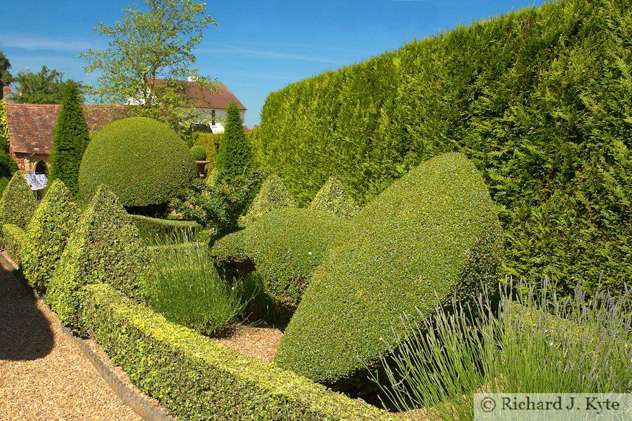 Garden 32 : "Mantoft", Eckington Flower Festival and Open Gardens 2017