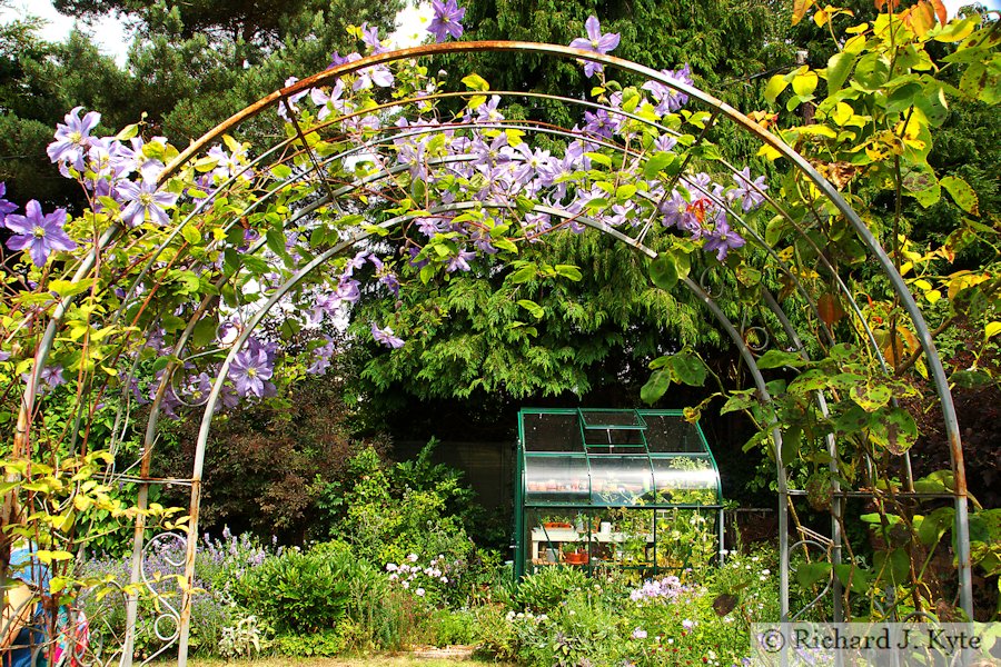 Trellis, Garden 3, Fladbury Walkabout 2017