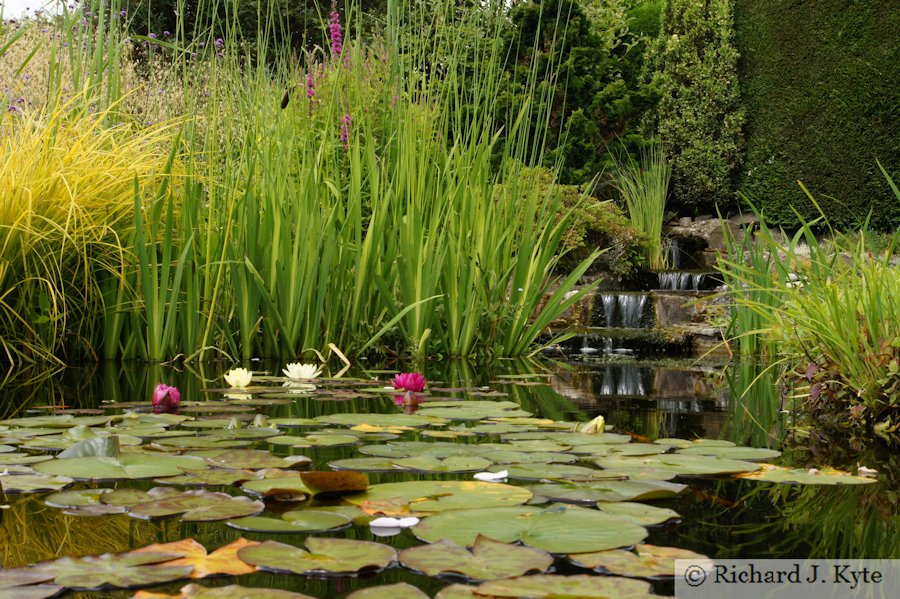 Pond, Garden 8, Fladbury Walkabout 2017