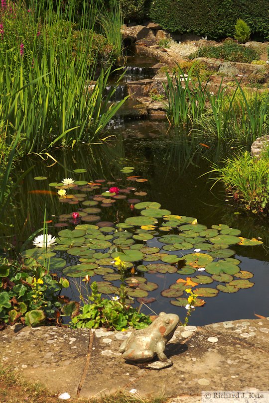 Pond, Garden 8, Fladbury Walkabout 2017