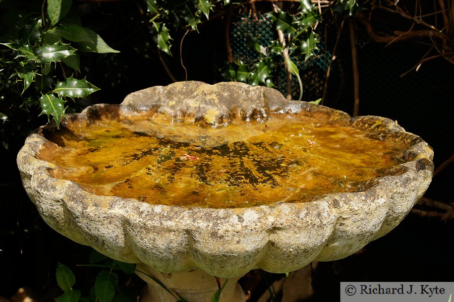 Bird Bath, Garden 14, Fladbury Walkabout 2017