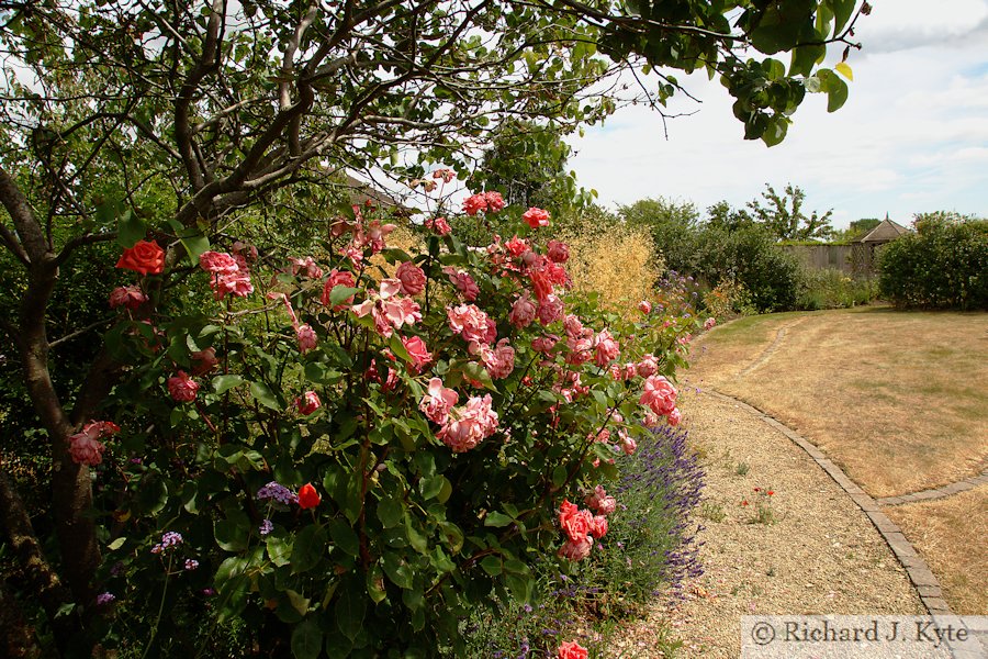 Garden 15 : Greylyn, Fladbury Walkabout 2017