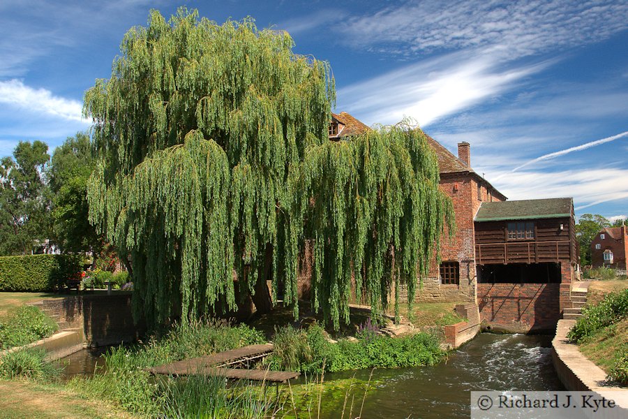 Garden 25 : Fladbury Mill, Fladbury Walkabout 2017