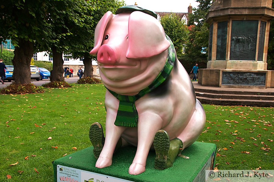 Pig 14 : "Three Counties Pig", Henson Pig Trail 2017, Gloucestershire