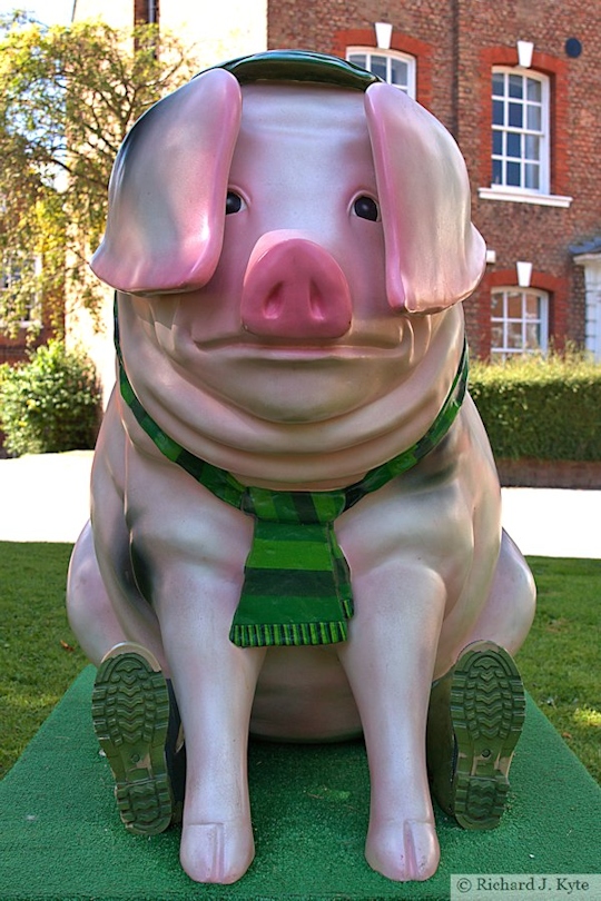 Pig 14 : "Three Counties Pig", Henson Pig Trail 2017, Gloucestershire