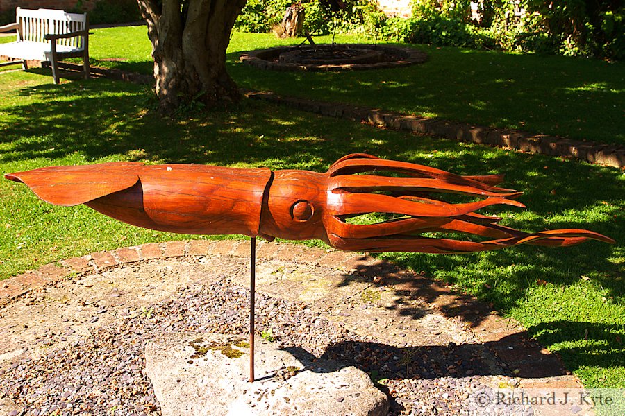 Squid, 2010 by Neil Gow, Nature in Art, Gloucestershire