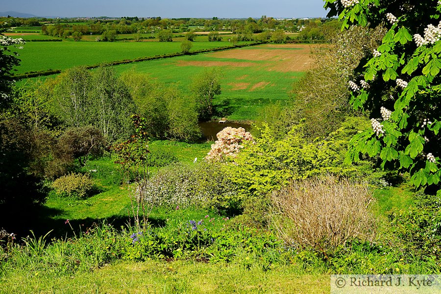 Garden 10 :  The Manor, Cropthorne Walkabout 2018